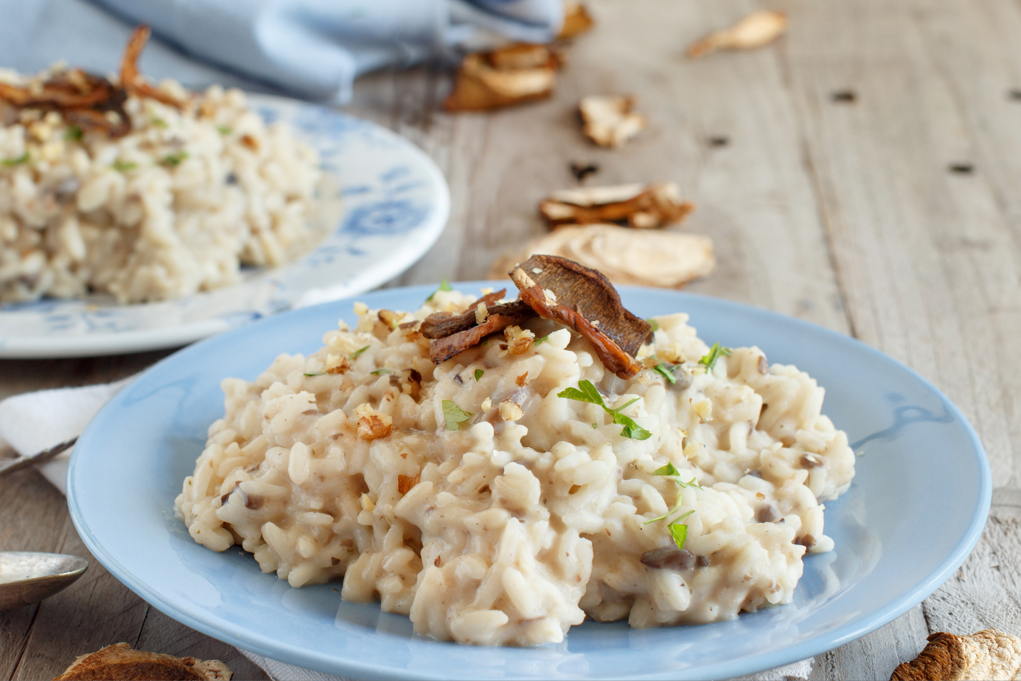 Porcini Mushroom Risotto