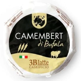 Camembert_ (1)